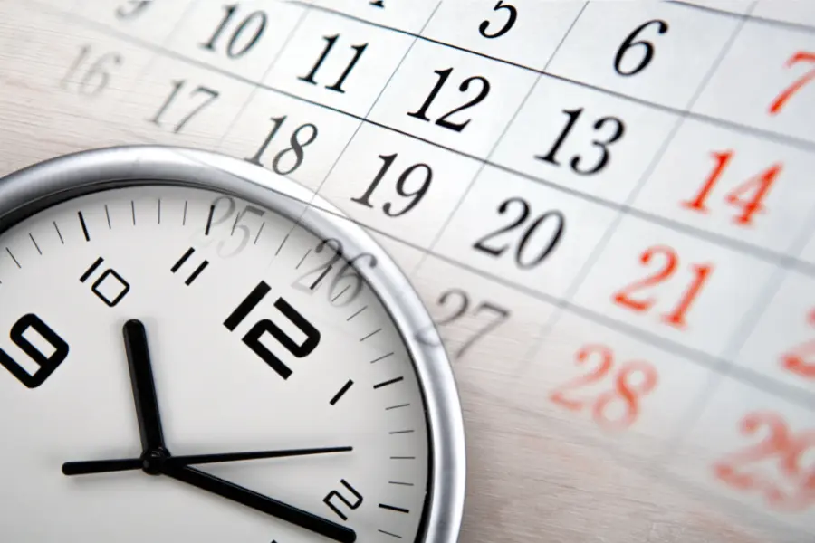 harmonogram bc school